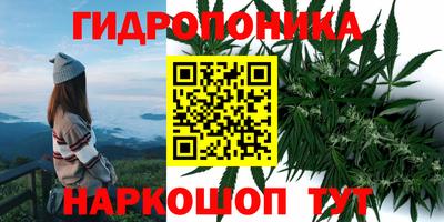 крисы Краснокаменск