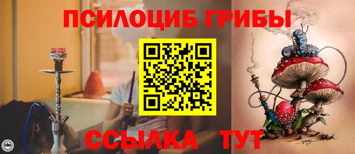 Псилоцибиновые грибы GOLDEN TEACHER Кострома