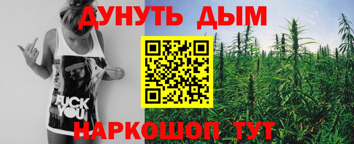 Каннабис семена  Конопля White Widow  Бошки Шишки марихуана  Кострома  Вход с VPN  Бошки марихуана план 